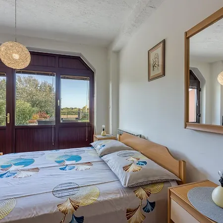 Cocaletto 1899 * Ρόβινι